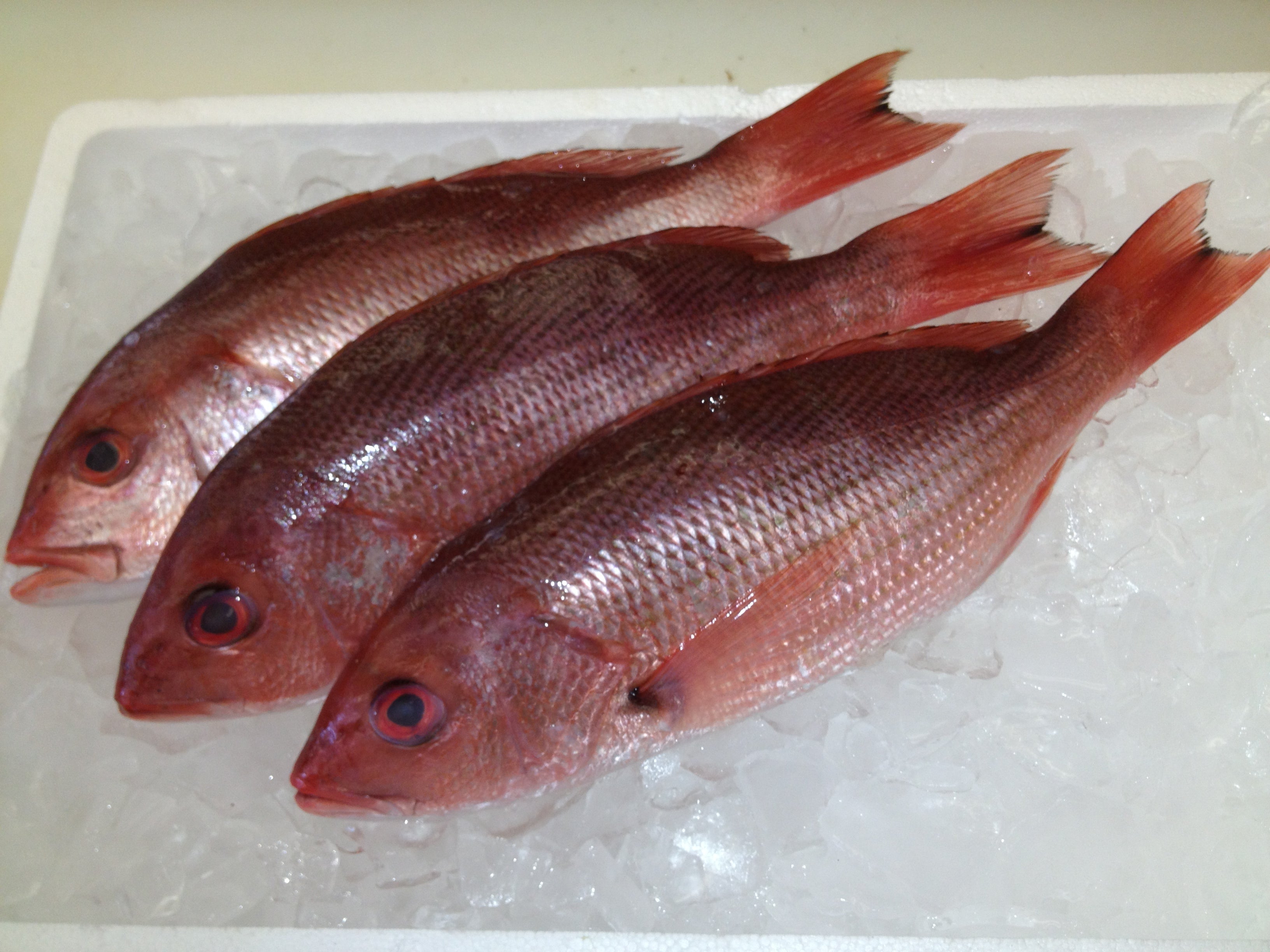Red Snapper - Sold Per Fish (1-2 lbs Each) | George's Seafood